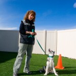 Lori Cruser, Owner, Dog Trainer